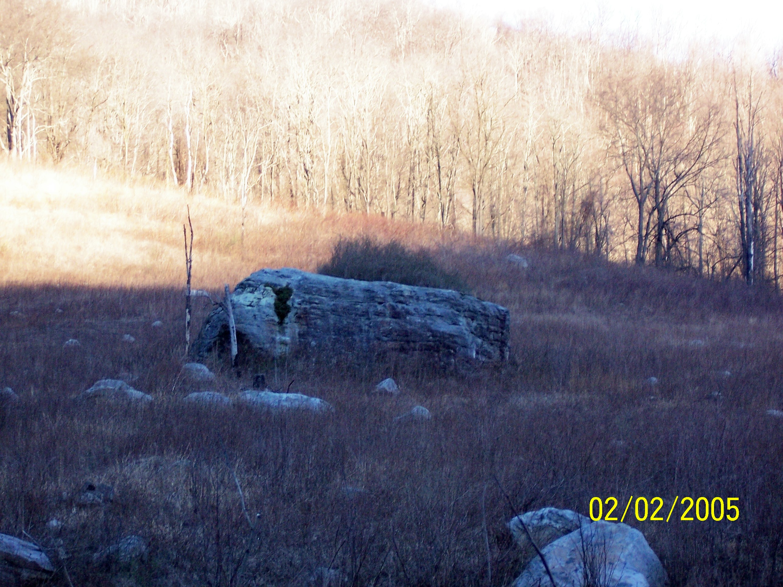 100_0547.jpg
